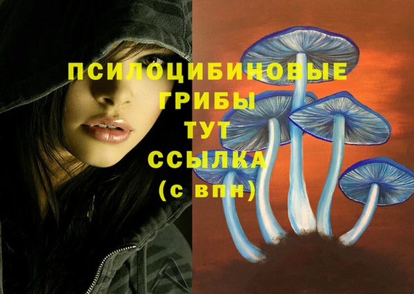 кокаин Арсеньев