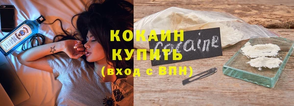шишки Армянск