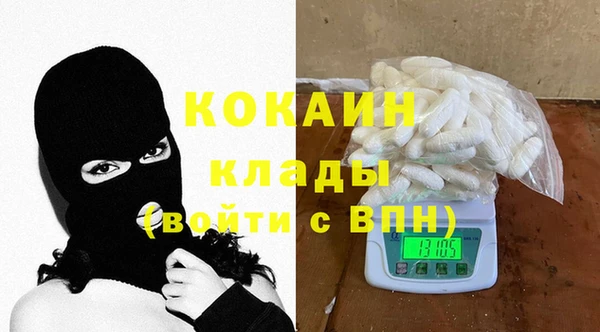 шишки Армянск