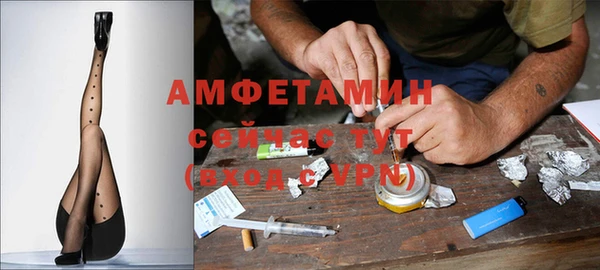 шишки Армянск